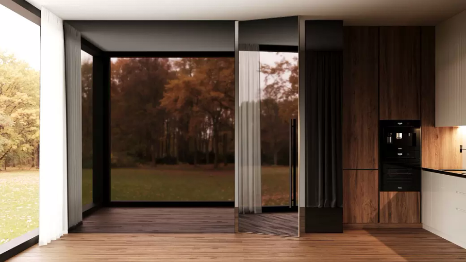 Рейн в интерьере — 1