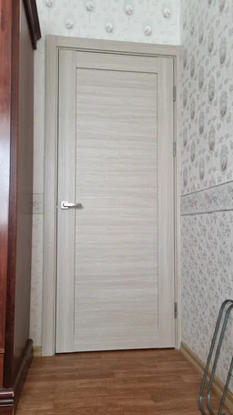 Межкомнатная дверь Фокус, модель 32 Эш