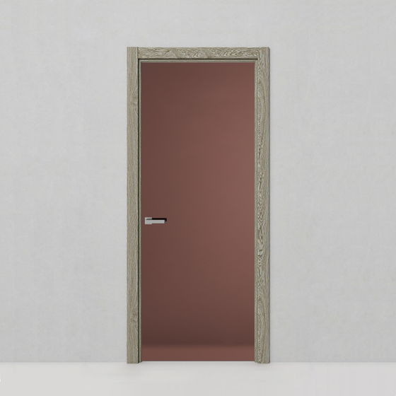 Стеклянная дверь Рейн