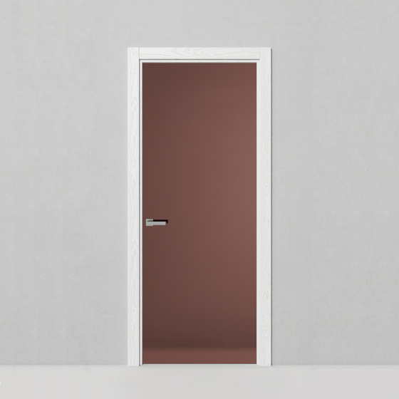 Стеклянная дверь Рейн